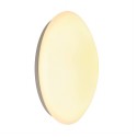 BIG WHITE 133758: LIPSY 50S Color Control wit 1xLED RGB+3000K slave, BIG WHITE Wandlampen (SLV 133758) BIG WHITE 133758: LIPSY 50S Color Control wit 1xLED RGB+3000K slave, BIG WHITE Wandlampen (SLV 133758)