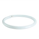 BIG WHITE 308828: T8 TL ringbuis G10q 40W 4000K, BIG WHITE Lichtbronnen (SLV 548211) BIG WHITE 308828: T8 TL ringbuis G10q 40W 4000K, BIG WHITE Lichtbronnen (SLV 548211)